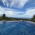 Paradise Park Farm Entry Ticket with Transfer - The Experience: What to Expect