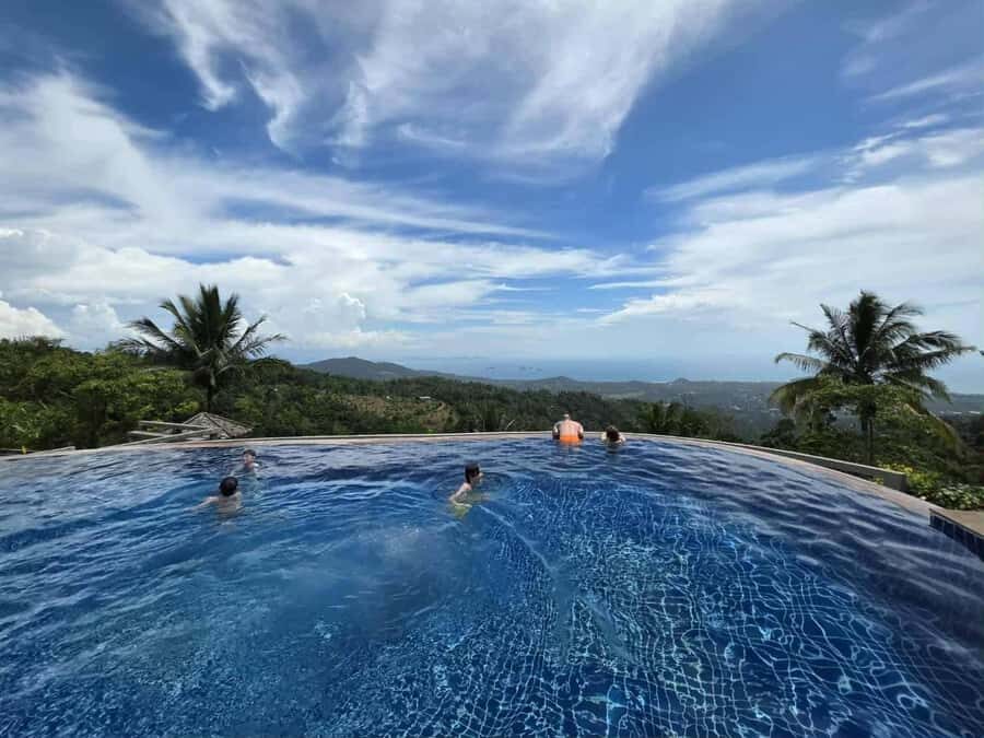 Paradise Park Farm Entry Ticket with Transfer - The Experience: What to Expect