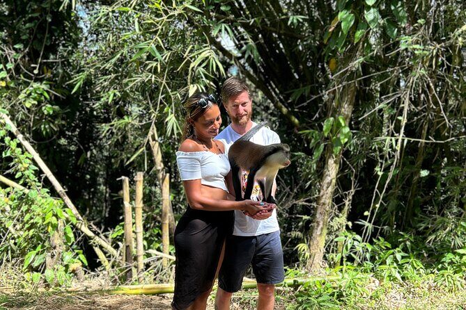 Paradise Unveiled Full Day Island Escape - Who Will Love This Tour?