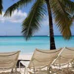 Paradisiacal Getaway: Soana Island from Punta Cana - How the Itinerary Breaks Down
