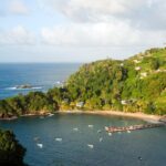 Partlatuvier Bay Day Trip with Lunch - Why This Tour Offers Great Value