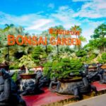 Pattaya : Full Day Private Tour - Exploring Nong Nooch Tropical Garden