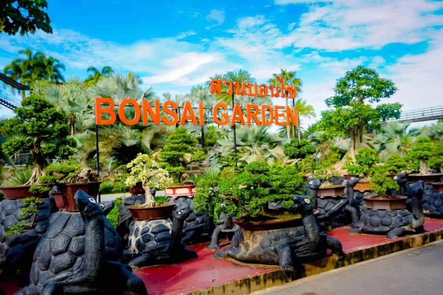 Pattaya : Full Day Private Tour - Exploring Nong Nooch Tropical Garden