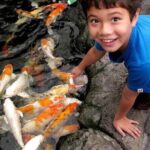 Pattaya Underwater World Admission Ticket - A Closer Look at the Experience