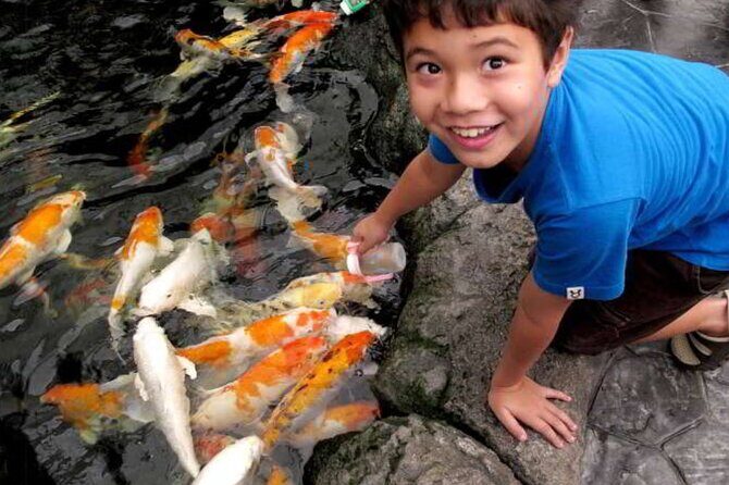 Pattaya Underwater World Admission Ticket - A Closer Look at the Experience