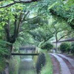 Peaceful Kyoto Walking Tour - Why This Tour Offers Great Value