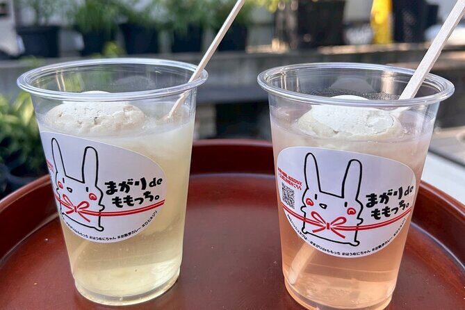 Peach Farm Walk & Farming Experience with a Peach Drink - Why This Tour is Worth Considering