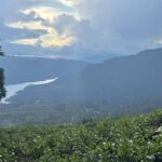 Pekoe Trail 1-5: Guided 7-Day Trek with Hotels & Transfers - What to Expect from the Experience