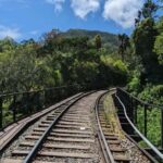 Pekoe Trail 10-16: 8-Day Guide Trail with Hotels & Transfers - Day 2: From Dayagama to Horton Plains – Into the Cloud Forests