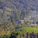 Pekoe Trail 10-16: 8-Day Guide Trail with Hotels & Transfers - Final Thoughts