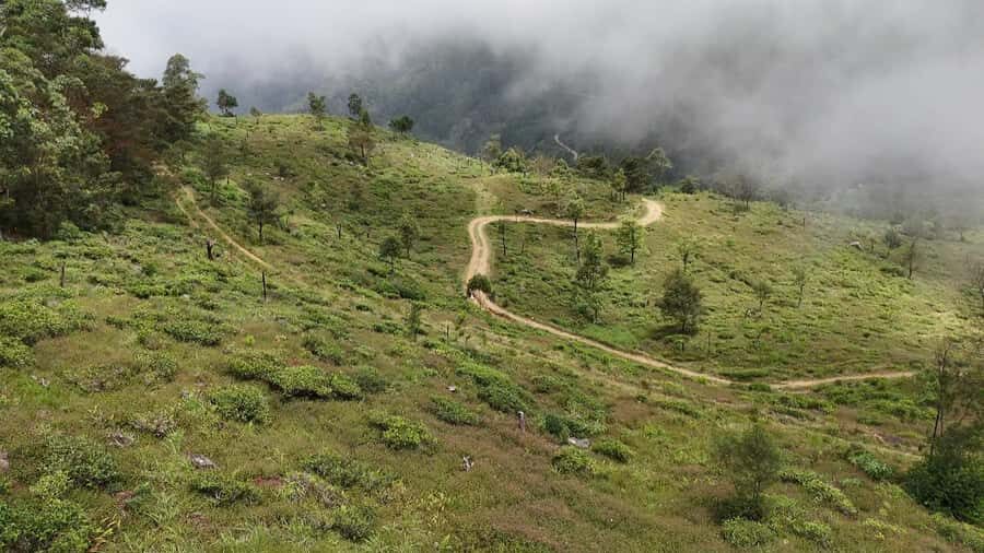 Pekoe Trail Stage 11 Guided Hike (Horton Plains-Udaweriya) - A Typical Day on the Trail