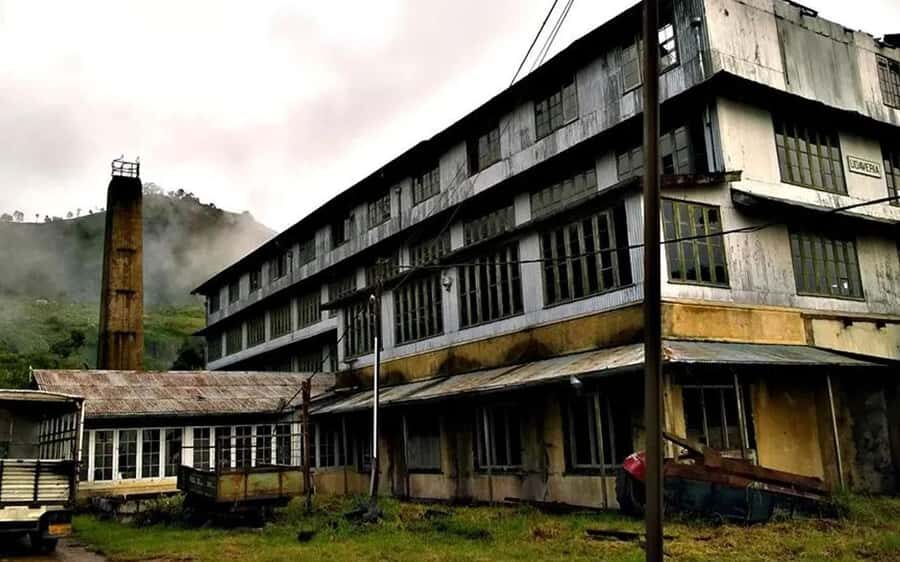 Pekoe Trail Stage 11 Guided Hike (Horton Plains-Udaweriya) - A Deep Dive into the Pekoe Trail Stage 11 Guided Hike