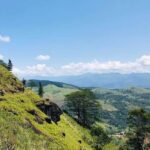 Pekoe Trail Stage 4 Guided Hike (Tawalantenne-Pundaluoya) - The Itinerary: What to Expect from Start to Finish