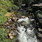 Pekoe Trail Stage 5 Guided Hike (Pundaluoya-Watagoda) - The Itinerary Breakdown