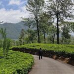 Pekoe Trail Stage 5 Guided Hike (Pundaluoya-Watagoda) - The Itinerary Breakdown: What Makes Each Part Special