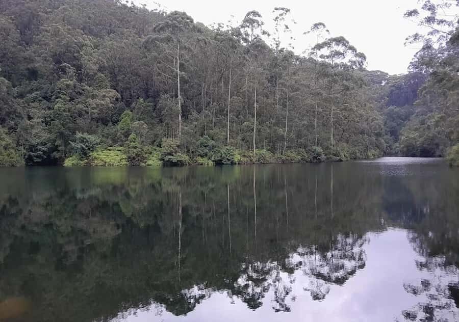 Pekoe Trail Stage 7 Guided Hike (Kotagala-Norwood) - Practical Details and What to Expect