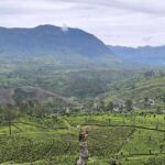 Pekoe Trail Stage 8 Guided Hike (Norwood-Bogawantalawa) - Why Choose This Trek?