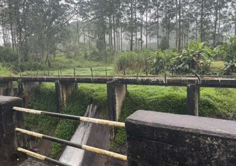 Pekoe Trail Stage 9 Guided Hike (Bogawantalawa-Dayagama) - A Closer Look at the Pekoe Trail Stage 9 Experience