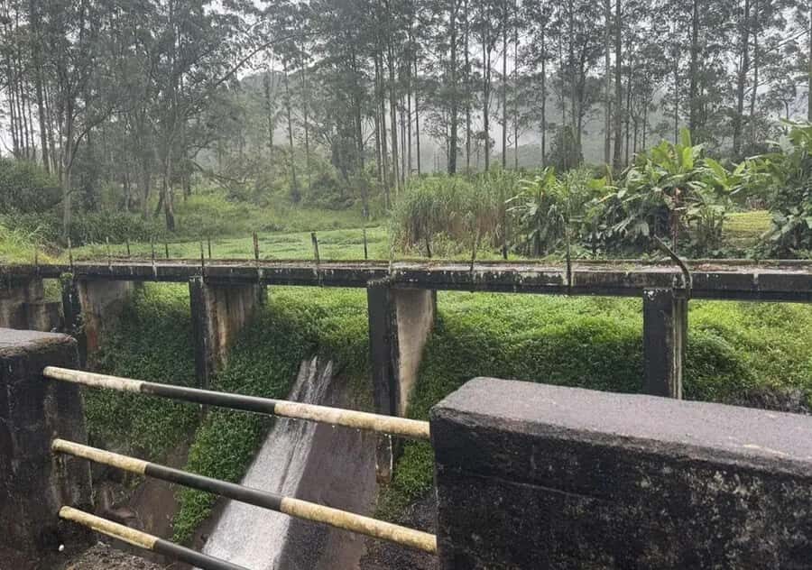 Pekoe Trail Stage 9 Guided Hike (Bogawantalawa-Dayagama) - A Closer Look at the Pekoe Trail Stage 9 Experience