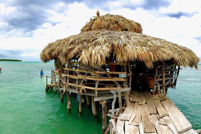 Pelican Bar & Ricks Cafe Negril Private Tour - Practical Details and Tips