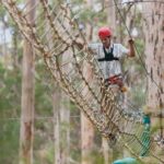 Pemberton: 2.5h Ultimate Ziplines & High Ropes Experience - Who Should Consider This Tour?