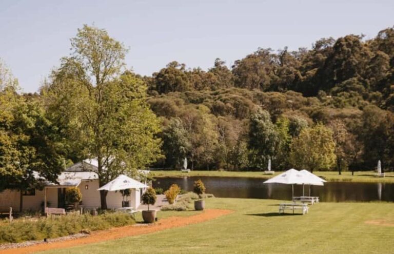 Pemberton: Ampersand Estates Wine Tasting Experience - The Detailed Breakdown of the Ampersand Estates Wine Tasting Experience