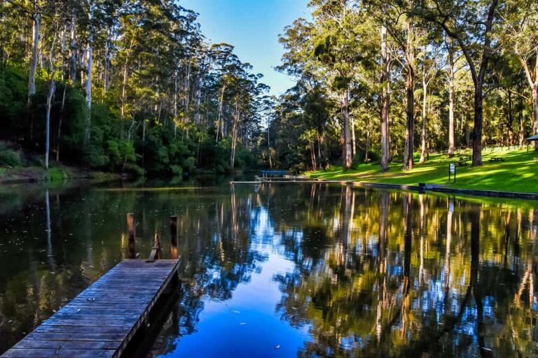 Pemberton: Secret Picnic Adventure with Digital Clues - Itinerary Breakdown: What to Expect