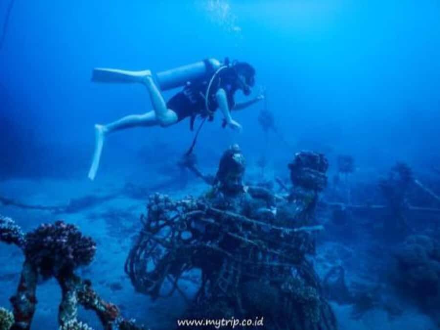 Pemuteran: Biorock Dive Master Internship - Exploring Menjangan Marine Park