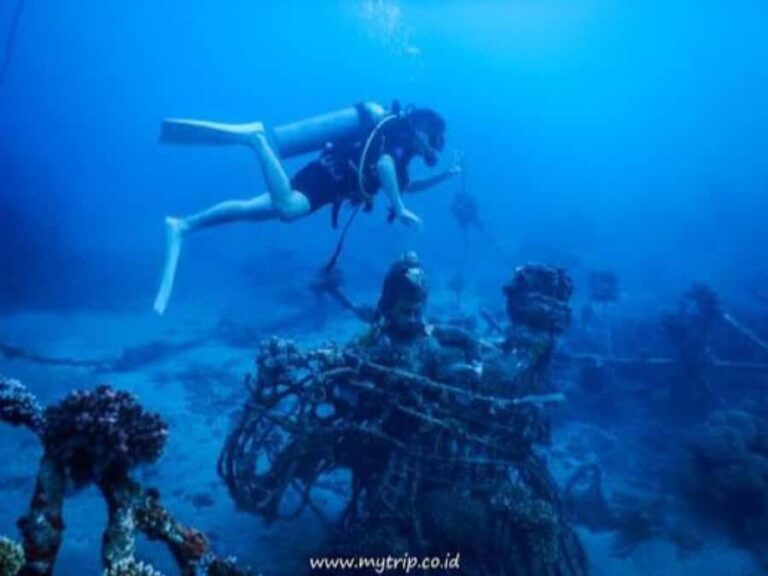 Pemuteran: Biorock Dive Master Internship - What You Can Expect During the Day