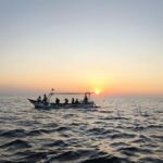 Pemuteran: Dolphin Watching Tour with Hotel Transfer - Why This Tour Is Worth Considering