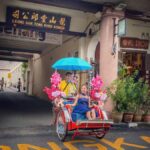 Penang: 3 hours Heritage Highlights Tours & Trishaw Ride - The Value of This Tour