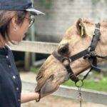 Penang: Balik Pulau Batik Painting & Mini Zoo Petting - Audi Dream Farm: Animal Encounters and Farm Fresh Flavors