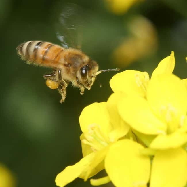 Penang: Entopia General Admission Tickets - What to Expect at Entopia