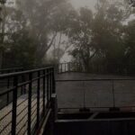 Penang Hill & Pagoda Tour with Food Tasting (Tickets Included) - Exploring Penang Hill: Elevating Your Viewpoint