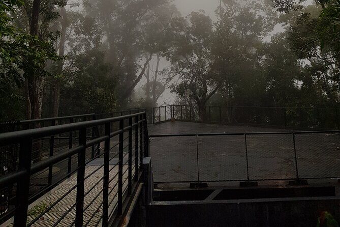 Penang Hill & Pagoda Tour with Food Tasting (Tickets Included) - Exploring Penang Hill: Elevating Your Viewpoint