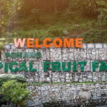 Penang: Tropical Fruit Farm Ticket - The Limitations and Considerations