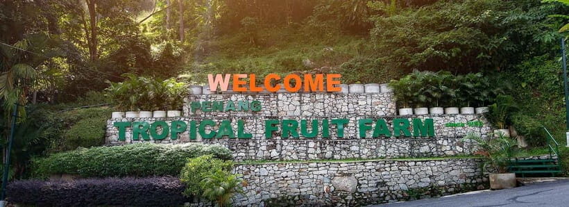 Penang: Tropical Fruit Farm Ticket - The Limitations and Considerations