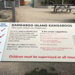 Penguin and Australian Animals Private Tour - Whats Included & Whats Not