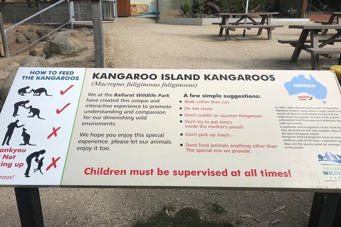 Penguin and Australian Animals Private Tour - Whats Included & Whats Not