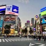 Perfect Start for your Japan Trip - Private Tour in Tokyo - Why You Should Consider It