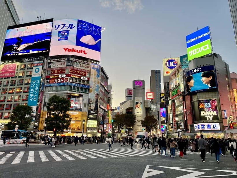 Perfect Start for your Japan Trip - Private Tour in Tokyo - Why You Should Consider It  