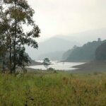 Periyar from Cochin - a Two Day Tour - The experience details that matter