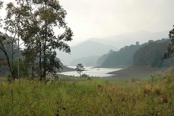 Periyar from Cochin - a Two Day Tour - The experience details that matter