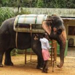 Periyar from Cochin - a Two Day Tour - Frequently Asked Questions