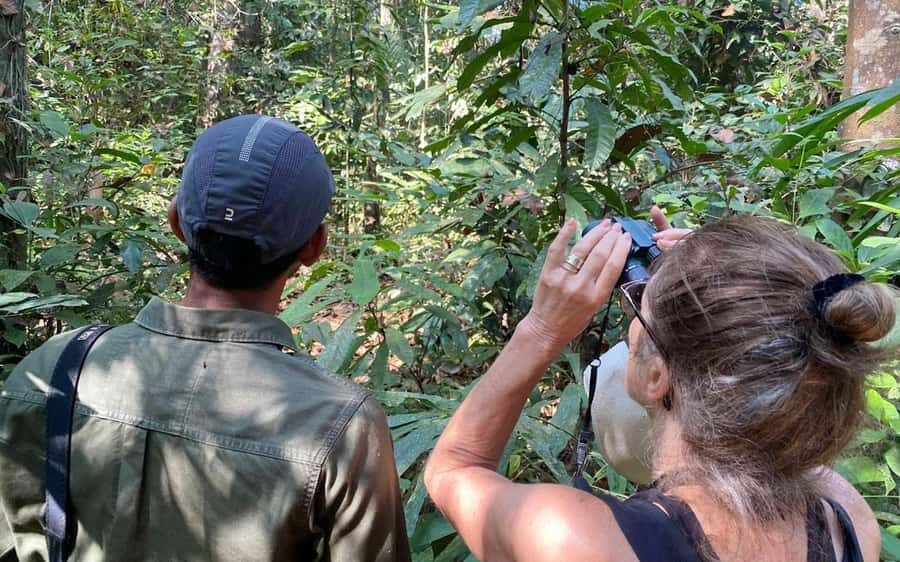 Periyar River Bamboo Rafting Tour from Kochi - Practical Aspects & Value