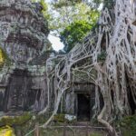 Personalized Angkor Wat Sunrise Day Tour by Tuk Tuk - Practical Details & What to Expect