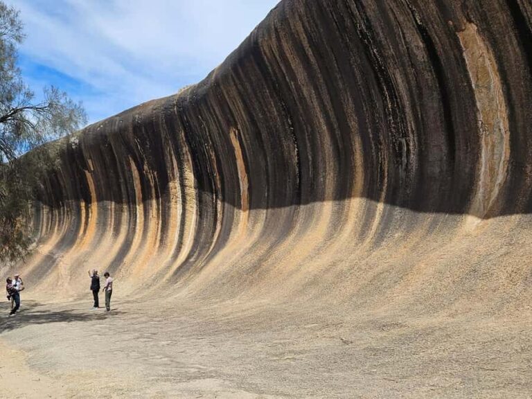 Perth: 7-Day Rottnest Island Tour Package with Accommodation - Day 2: Pinnacles Desert, Koalas, and Sandboarding
