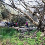 Perth: Bickley Valley Hiking Experience with Morning Tea - Who Will Love This Experience?