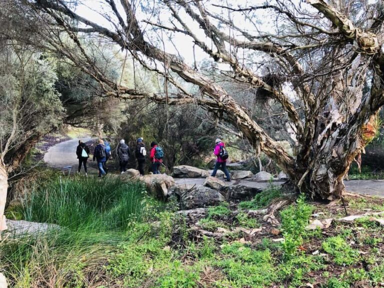 Perth: Bickley Valley Hiking Experience with Morning Tea - Who Will Love This Experience?