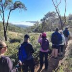 Perth: Perth Hills Hike, Wine & Dine - Challenging Sections and Scenic Rewards